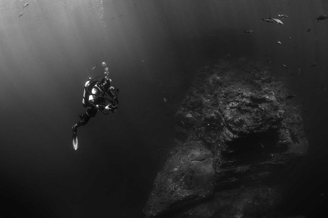 Repellat inventore quae eius pariatur omnis est aut illum id cumque