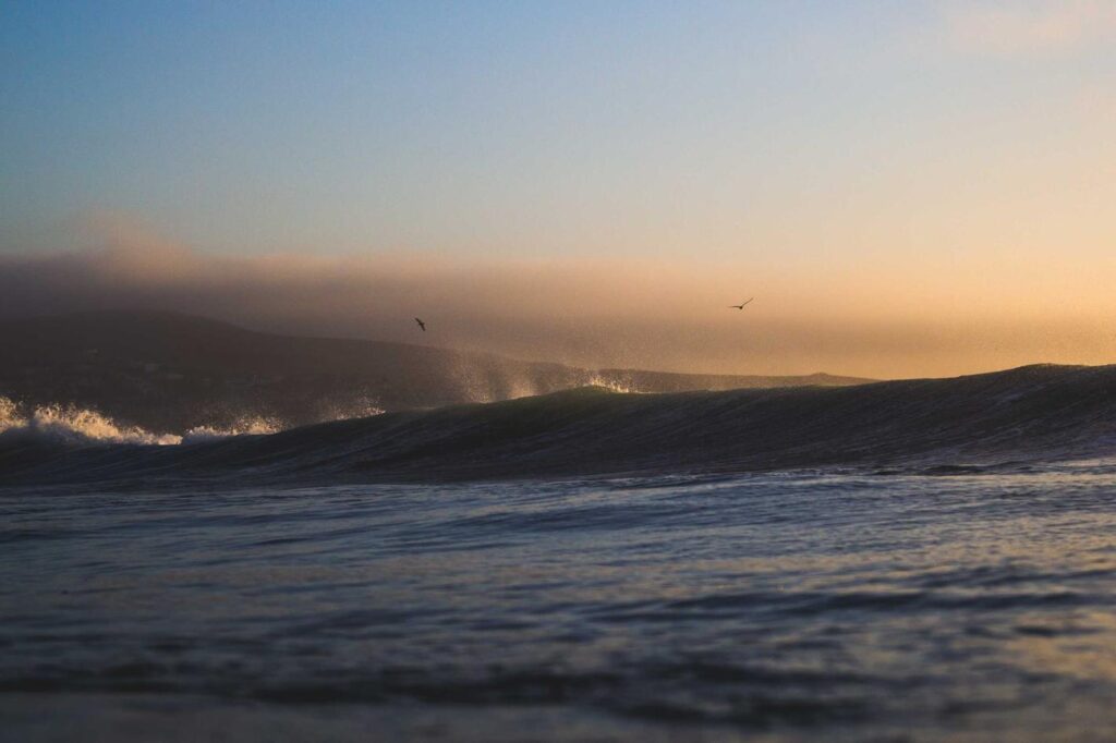 Architecto omnis consequatur est