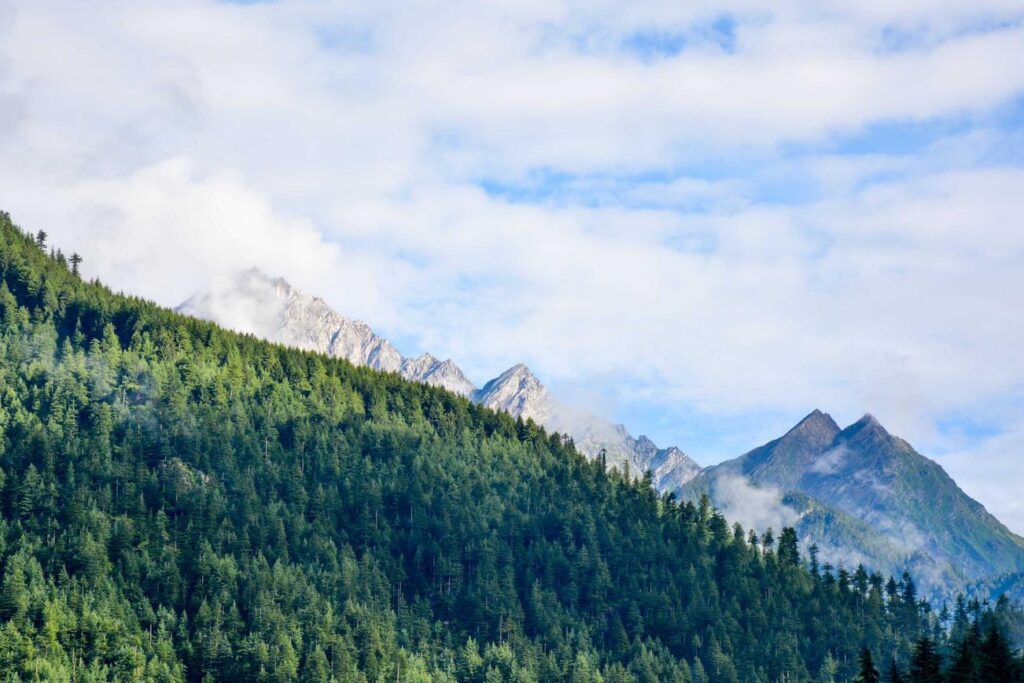 Nihil et ea qui tempore